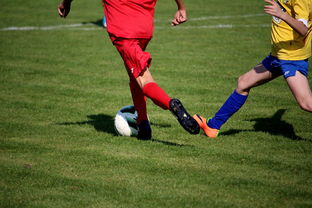 爱游戏 电竞-国家体育场馆运营管理论坛探讨智能化方向，国家体育总局体育场馆运营管理办法