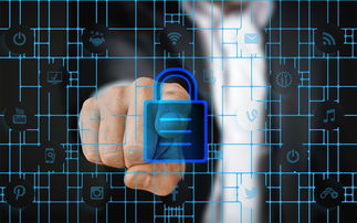 马术运动进校园课程体系初步建立，马术走进校园合作方案