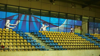 爱游戏体育app-巴西青训体系持续投入，未来足球天才持续涌现